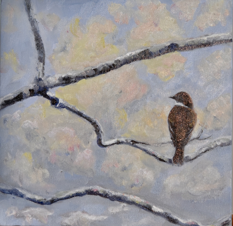 Winter Phoebe by artist Tammy Brown